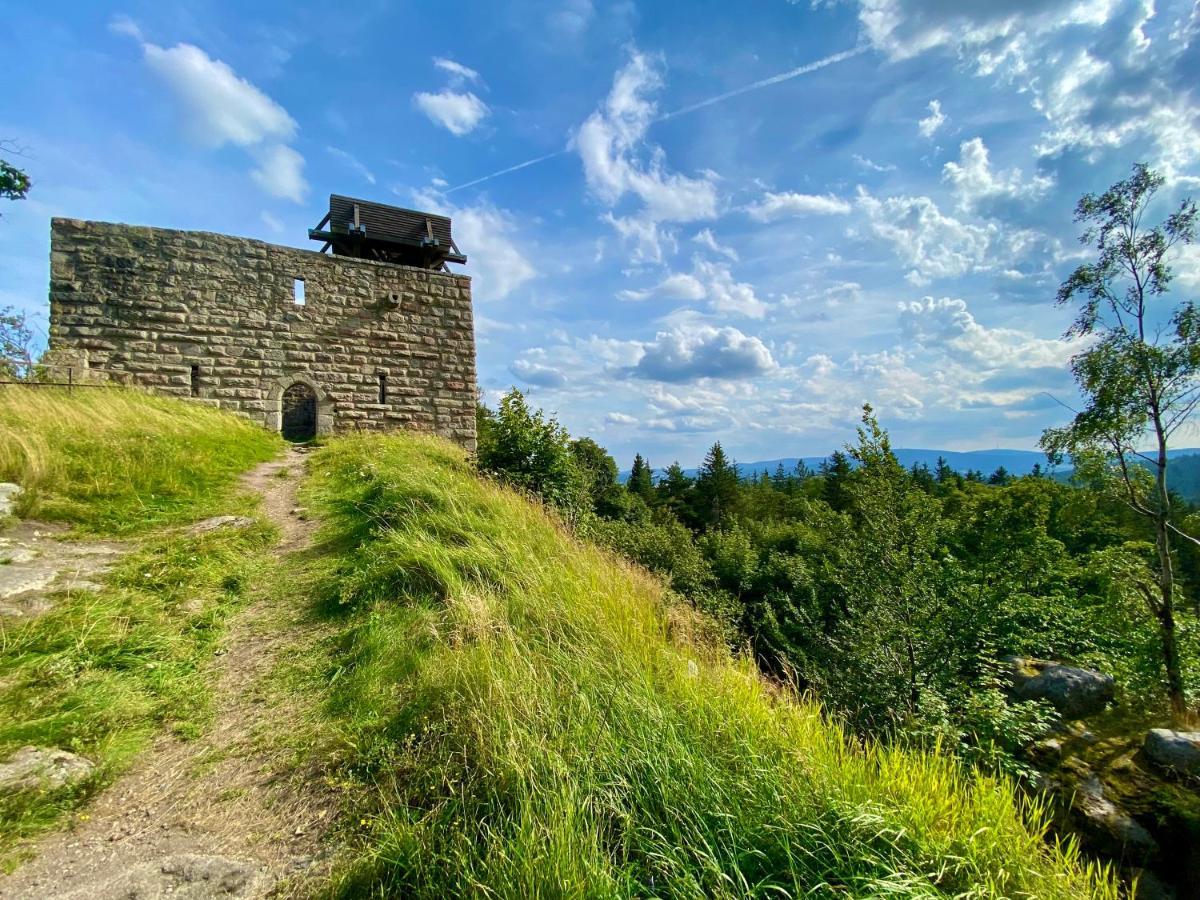 Ferienwohnung Oxana Im Naturpark Fichtelgebirge Schonwald  외부 사진