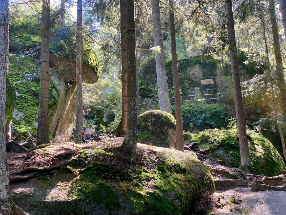 Ferienwohnung Oxana Im Naturpark Fichtelgebirge Schonwald  외부 사진