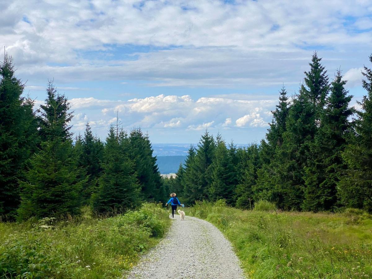 Ferienwohnung Oxana Im Naturpark Fichtelgebirge Schonwald  외부 사진