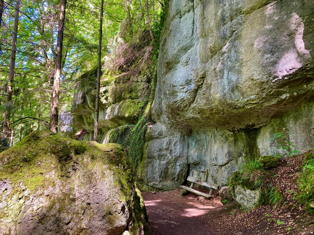 Ferienwohnung Oxana Im Naturpark Fichtelgebirge Schonwald  외부 사진