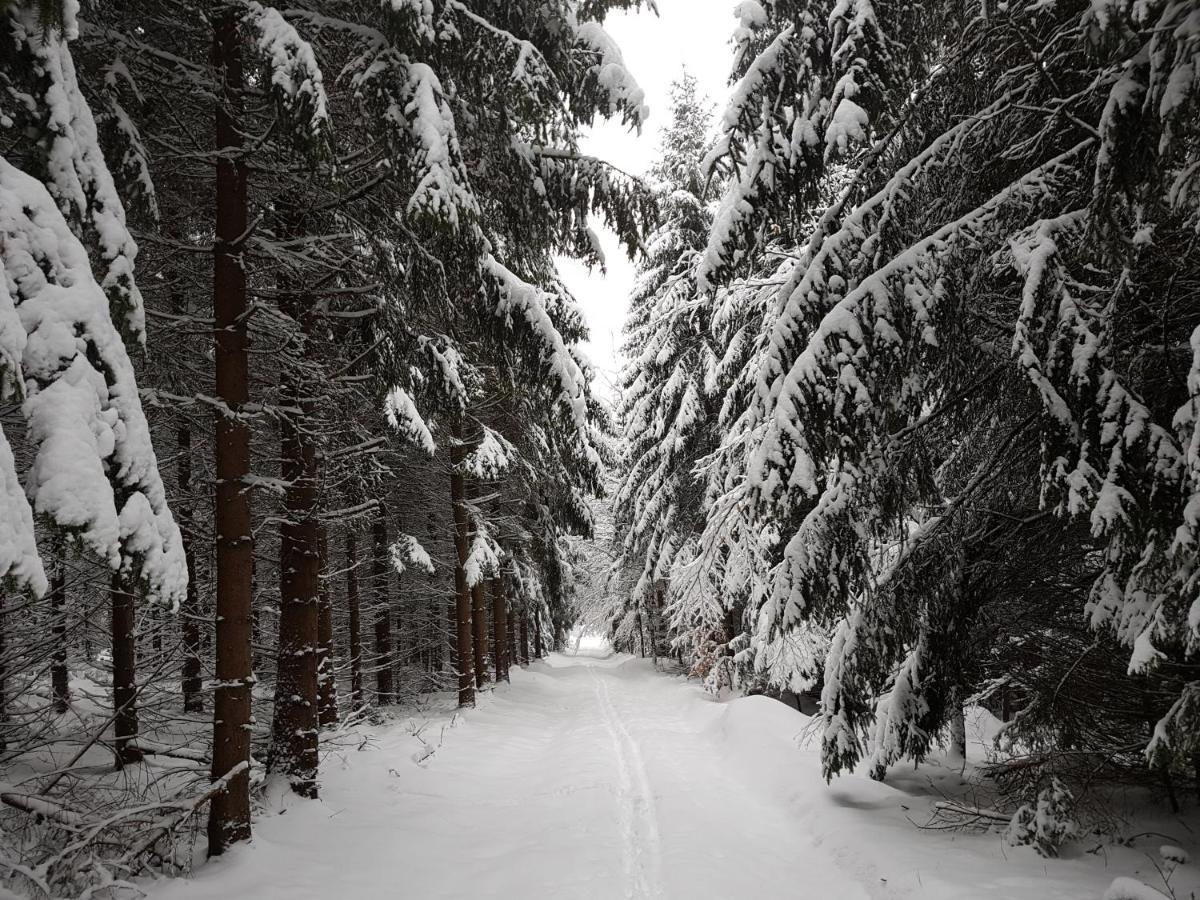 Ferienwohnung Oxana Im Naturpark Fichtelgebirge Schonwald  외부 사진